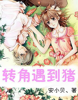 耿宝昌:三招教你辨别康熙官窑与民窑之别